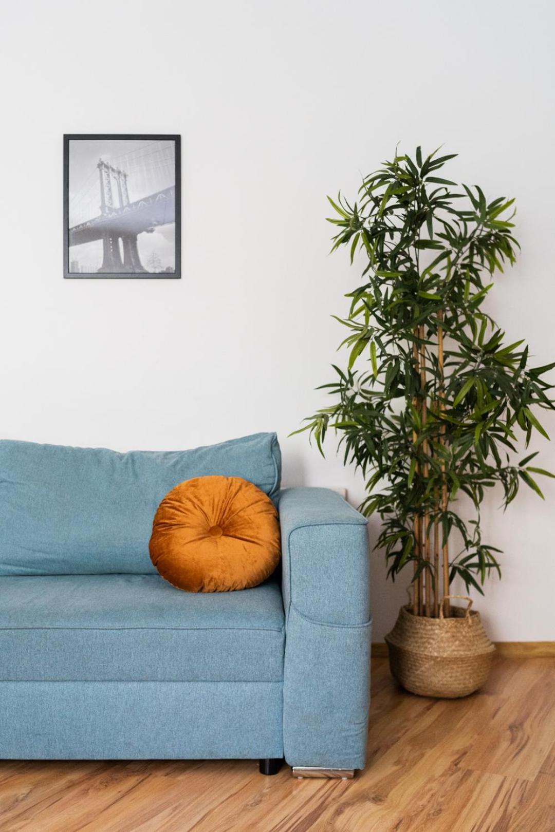 Big Apart - Nice Design - 3 Rooms - Wroclaw City Centre Экстерьер фото
